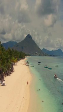 Palmiye ağaçları ve güzel sahil gölünün üzerinden uç. Mauritius 'taki Cennet Adası. Sahil şeridi boyunca manzara manzarası. Mauritius sahilinin havadan görünüşü cennet adasında güneşli bir gün..