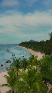 Palmiye ağaçları ve güzel sahil gölünün üzerinden uç. Mauritius 'taki Cennet Adası. Sahil şeridi boyunca manzara manzarası. Mauritius sahilinin havadan görünüşü cennet adasında güneşli bir gün..
