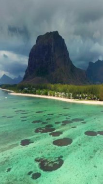 Palmiye ağaçları ve güzel sahil gölünün üzerinden uç. Mauritius 'taki Cennet Adası. Sahil şeridi boyunca manzara manzarası. Mauritius sahilinin havadan görünüşü cennet adasında güneşli bir gün..