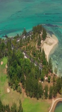 Palmiye ağaçları ve güzel sahil gölünün üzerinden uç. Mauritius 'taki Cennet Adası. Sahil şeridi boyunca manzara manzarası. Mauritius sahilinin havadan görünüşü cennet adasında güneşli bir gün..