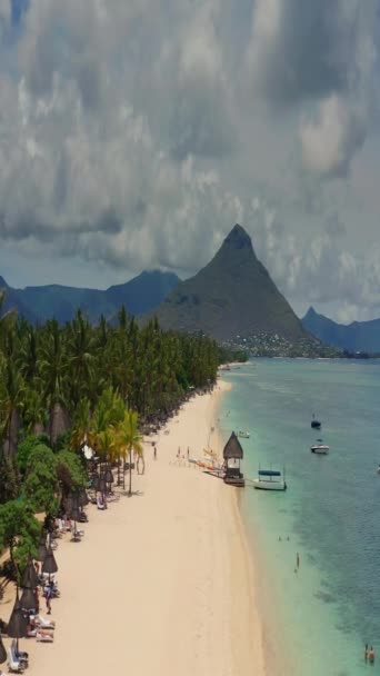 Közelről Légy Pálmafák Gyönyörű Strand Lagúna Felett Paradicsom Sziget Mauritiuson — Stock videók