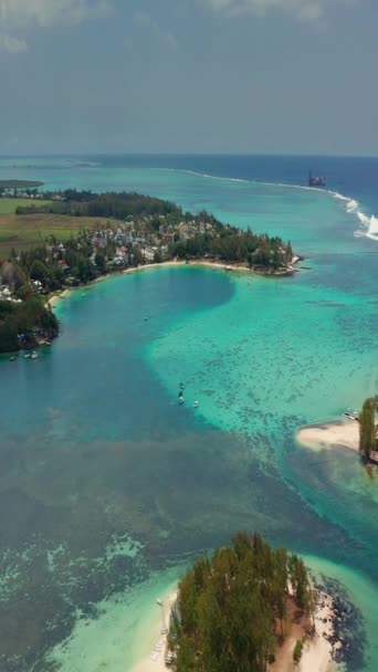 Közelről Légy Pálmafák Gyönyörű Strand Lagúna Felett Paradicsom Sziget Mauritiuson — Stock videók