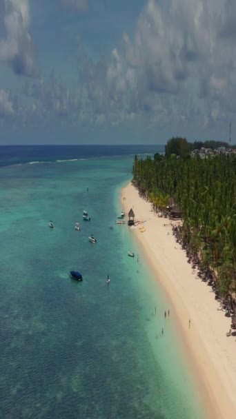 Tutup Terbang Atas Pohon Palem Dan Laguna Pantai Yang Indah — Stok Video