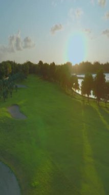 Palmiye ağaçları ve güzel sahil gölünün üzerinden uç. Mauritius 'taki Cennet Adası. Sahil şeridi boyunca manzara manzarası. Mauritius sahilinin havadan görünüşü cennet adasında güneşli bir gün..