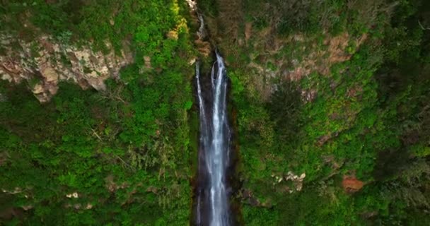 Madeira Adasındaki Şelalenin Havadan Görünüşü Şelale Madeira Adasında Bulunan Kayalık Stok Video