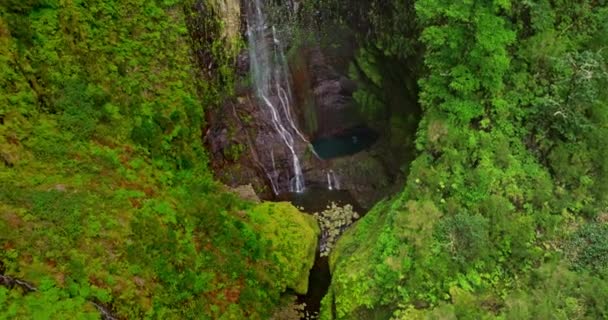 Madeira Adasındaki Şelalenin Havadan Görünüşü Şelale Madeira Adasında Bulunan Kayalık Stok Video