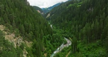 İnsansız hava aracı, arkasında dağlar olan yeşil renkli vadilerin üzerinden uçuyor. Yüksek Dağlar İsviçre 'nin ünlü simgeleridir. İsviçre 'deki Idyllic dağ manzarası, İsviçre kırsal havası.