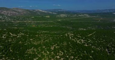 Var Bölümü, Fransa, Provence-Alpes-Cote dAzur 'un yaz aylarındaki doğal rahatlama manzarası.
