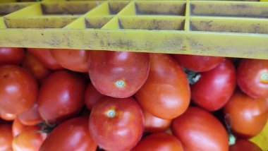 Domatesler markette taze sebzeler, taze yiyecekler, vejetaryenlik. Yüksek kalite fotoğraf