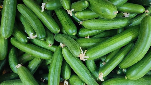 Groene Komkommers Verse Groenten Liggen Supermarkt Vers Voedsel Vegetarisme Hoge — Stockfoto