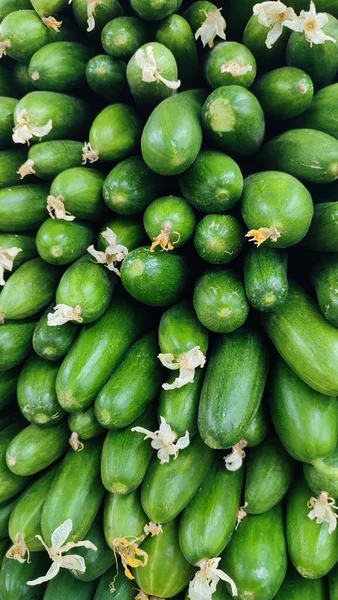 Pepinos Verdes Vegetais Frescos Encontram Supermercado Alimentos Frescos Vegetarianismo Foto — Fotografia de Stock