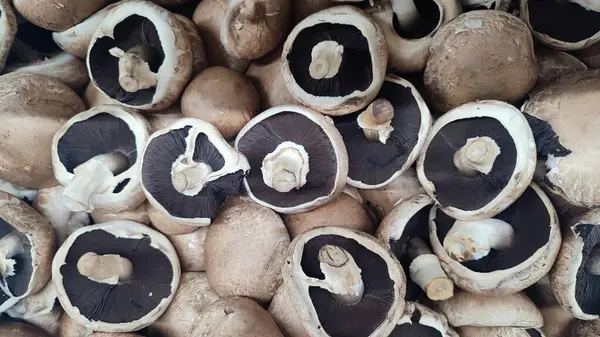 Mağazada taze şampiyon mantarları, yiyecek geçmişi. Yüksek kalite fotoğraf