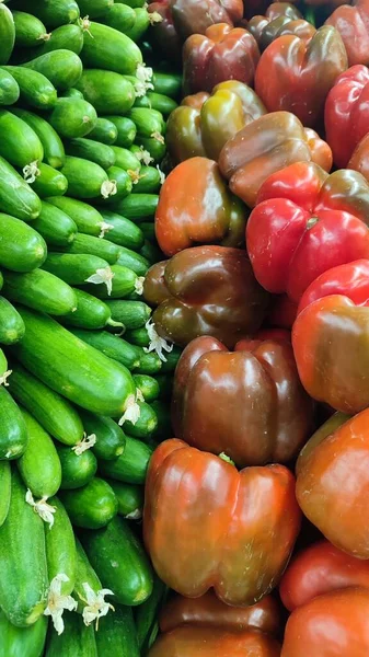 赤唐辛子と緑のキュウリ 食料品店の野菜 高品質の写真 — ストック写真