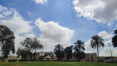 Baharda yeşil park, ağaçlar, çimenler, yapraklar ve gökyüzü, manzara. Yüksek kalite fotoğraf