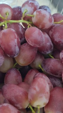 kırmızı pembe üzüm meyveleri, sağlıklı yemek kahvaltısı, gıda ürünleri, doğa, diyet. Yüksek kalite fotoğraf