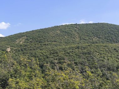 Dağ manzarası, yaz mevsimi, doğayla iç içe geçmiş mavi gökyüzü. Yüksek kalite fotoğraf