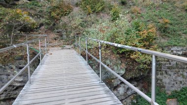 Köprü doğa manzaralı seyahat turizmi yaz günü parkı manzaralı arka plan ağaçları Çek Cumhuriyeti Avrupa Hrensko. Yüksek kalite fotoğraf