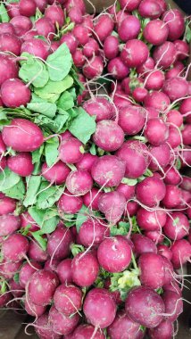 Turp kırmızısı taze sebzeler sağlıklı yiyecekler yaz kahvaltısı yeşil yapraklar bahçe ürünleri sebze bahçeleri malzemeleri. Yüksek kaliteli fotoğraf arkaplan modeli 