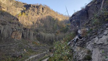 Dağlık kaya ormanı akşamı yeşil gölge mevsimi yolu doğa yaz sonbahar günü arka plan gezisi. Yüksek kalite fotoğraf