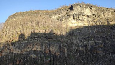 Dağlık kaya ormanı akşamı yeşil gölge mevsimi yolu doğa yaz sonbahar günü arka plan gezisi. Yüksek kalite fotoğraf