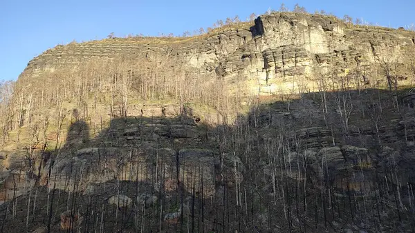 Dağlık kaya ormanı akşamı yeşil gölge mevsimi yolu doğa yaz sonbahar günü arka plan gezisi. Yüksek kalite fotoğraf