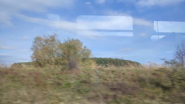 Ağaçlar gökyüzünü yansıtır. Pencereler mavi arka plan. Yaz ağacı. Yüksek kalite çekim listesi seyahat yeri 