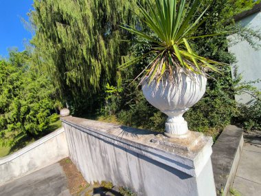 Mimari sokak ağaçları inşa eden taş küre seyahat turizmi yaz malzemeleri park dokusu eski model. Yüksek kalite fotoğraf