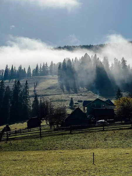 stock image Beautiful view of the forest through the wooden fence, blue sky with fog, a small huose, nature