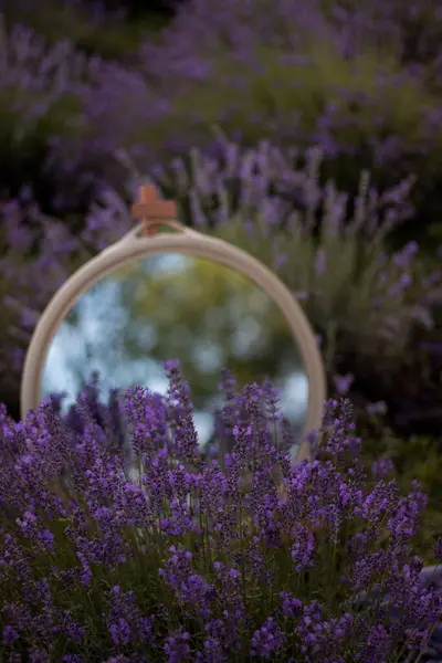 Yazın lavanta rengi bir ayna.