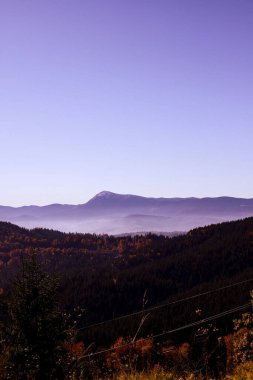 Sonbaharda karlı dağların manzarası