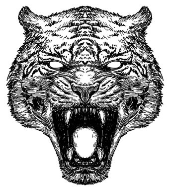 Dövme sanatı kaplan el çizimi ve çizimi