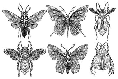 Dövme sanatı. Böcek kelebeği çizimi. Siyah beyaz.