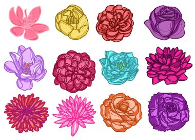 Dövme sanatı çiçek çizimi renkler ve çizim