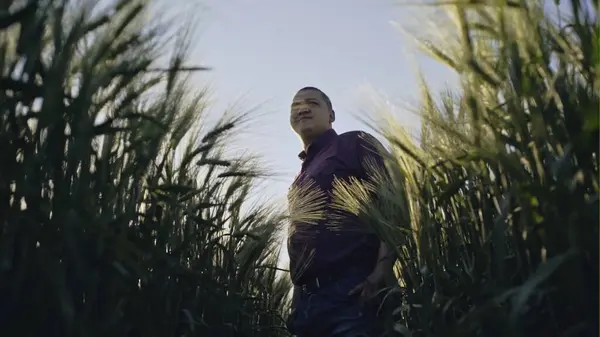 Stock image Portrait of young farmer in a field examining wheat crop.