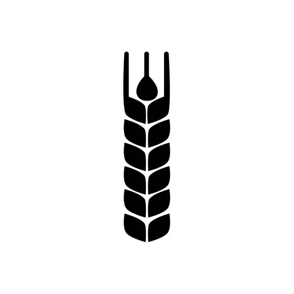 Векторная Иконка Колоска Пшеницы Плоский Стиль — стоковый вектор