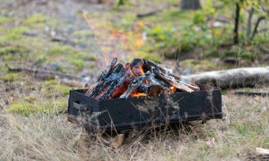 Ormanda mangal yapmadan önce metal brazier 'da yanan bir ateş.