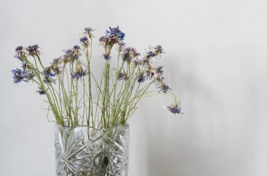 Gri duvar zemininde solmuş bir buket çiçek.