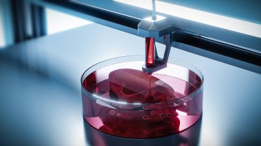 Bioprint 3D - 3D yazıcılarda organ nakli kavramı. Organ naklinin geleceği, 3D illüstrasyon