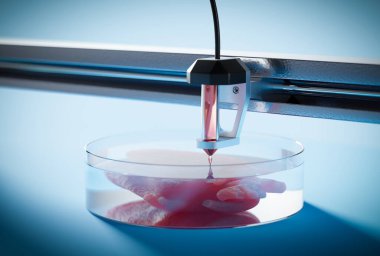 Bioprint 3D - 3D yazıcılarda organ nakli kavramı. Organ naklinin geleceği, 3D görüntüleme.