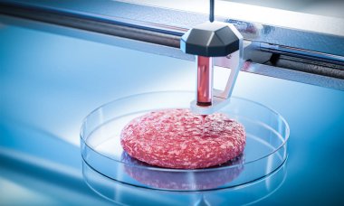 Et 3D baskı konsepti. Hamburger pirzolası, et üretimi için yeni teknolojiler. 3d hazırlayıcı