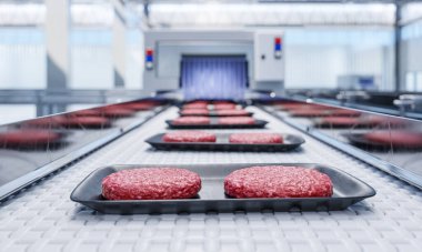 Hazır sığır burger pirzolası fabrikasındaki bir taşıyıcı - modern bir ekolojik biyo-baskı et fabrikası - 3D illüstrasyon