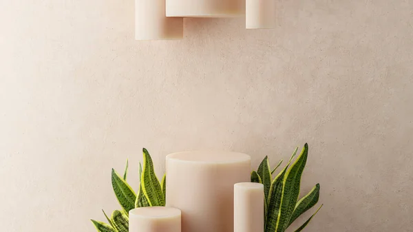 Minimalist Beige Cylinders Background Dracaena Plant Mockup Promote Your Products — Stock Photo, Image