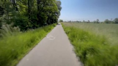 Bisiklet yolu boyunca sabit çekim. Yeşillik bir ormanın içinden geçiyor.