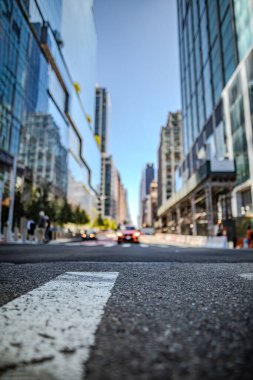 New York 'ta modern ofis binaları olan bir cadde, kırmızı ışıkta duran bir araba. Yaya geçitli asfalt meydanına odaklan.