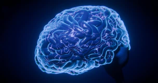 Inteligência Artificial Animação Cerebral Com Efeitos Conexões Neurais Forma Luzes — Vídeo de Stock