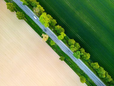 Tarlalardan yol manzaralı, bir tarafı yemyeşil, diğer tarafı ekime hazır. İnsansız hava aracı görüntüsü kırsal alanı yakalıyor.