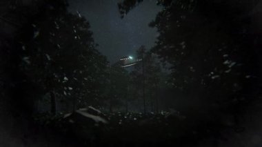 Geceleri bir ormanın üzerinde, ağaçları aydınlatan bir UFO. Kozmik bir maceradan ya da komplo teorisinden bir sahne. Bilim kurgu ve uzaylılarla ilgili konuları resmetmek için mükemmel..