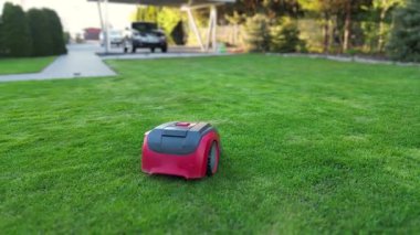 İyi bakılmış bir çimenlikte otları otomatik kesen bir robot çim biçme makinesi..