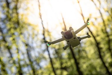 Güneşli bir ormanda uçan bir dron bulanık ağaç arka planlarıyla doğanın güzelliğini yakalıyor..