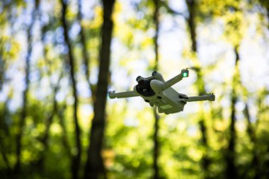 Güneşli bir ormanda uçan bir dron bulanık ağaç arka planlarıyla doğanın güzelliğini yakalıyor..